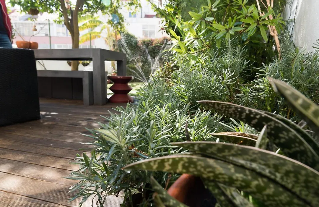 Flat With A Garden In Belem-1