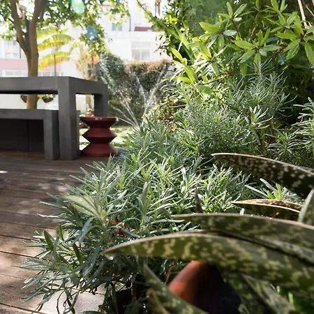 Flat With A Garden In Belem-3